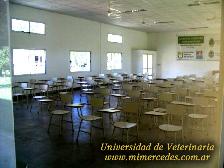 Haga Click Aqu� Para Ampliar