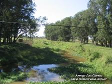 Haga Click Aqu� Para Ampliar